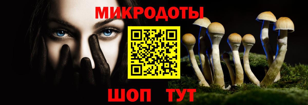 Псилоцибиновые грибы Psilocybine cubensis Анапа